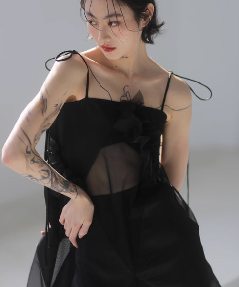 Sheer Layered Strap Dress